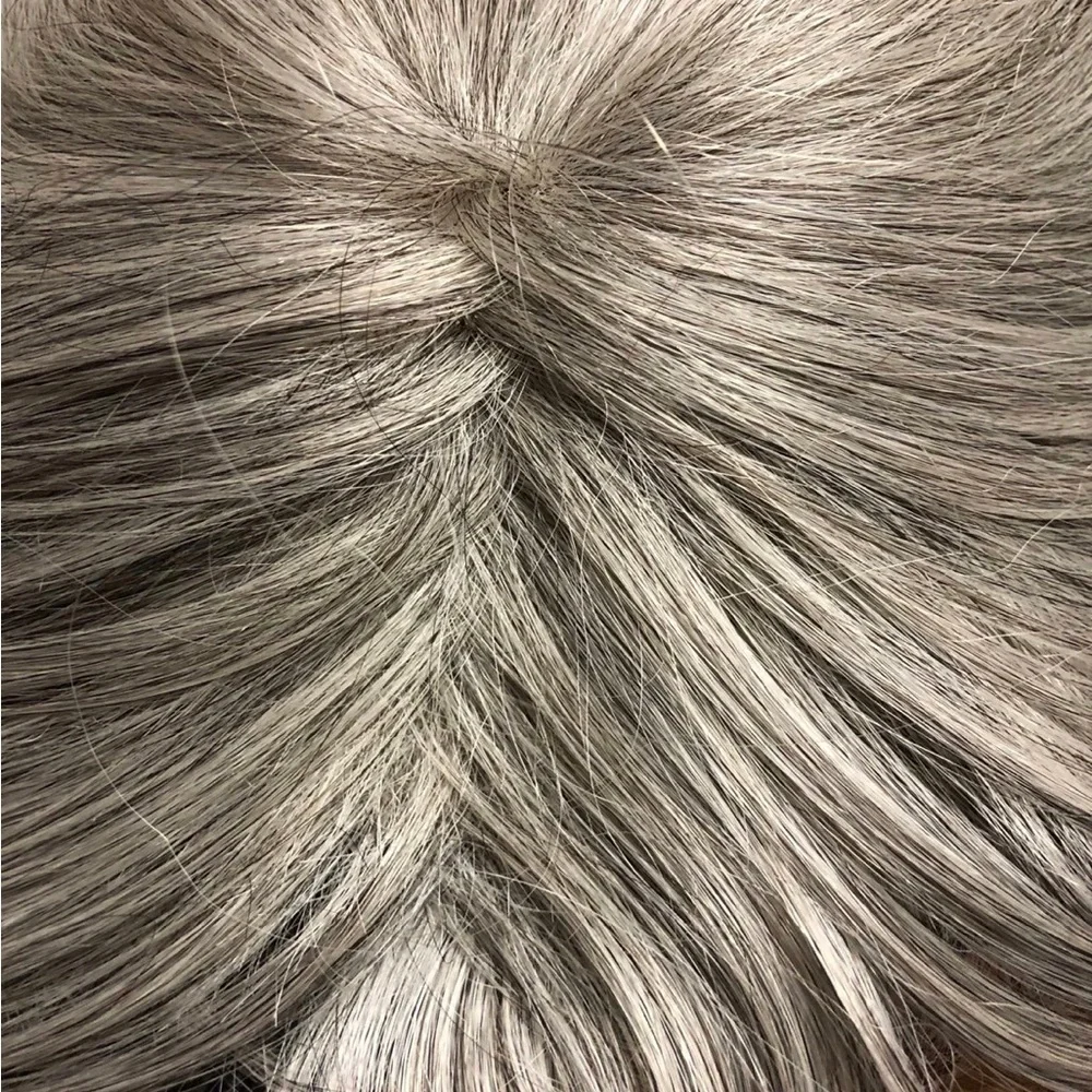 Elegant Silver Gray Women's Hair Wig - Picture 1 of 15